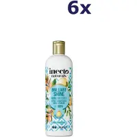Inecto 6x Naturals Argan Oil Conditioner 500ML