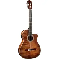 Cordoba Fusion 12 Exotic Top Cinnamon Burst