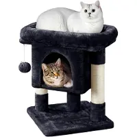Markenlos Katzenkratzbaum 60 cm mit Katzenhöhle, Plüsch und Sisal, Spielbaum für kleine Katzen, Schwarz