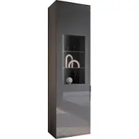 Die Möbelfundgrube Vitrine mit Beleuchtung anthrazit - Glasfront - Breite 55 cm - SANTORIN