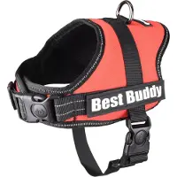 Flamingo Best Buddy Pluto Hundegeschirr