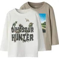 Name it Langarmshirt "NMMVOTO 2P LS NREG TOP" Packung, 2 tlg.
