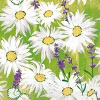 Mank Serviette Tissue Nadine, 33 x 33 cm, 100 Stück - Margeriten Blumen Wiese Lavendel