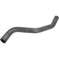 THERMOTEC Kühlerschlauch Wasserschlauch für RENAULT Scénic I (JA0/1, FA0) DWR194TT