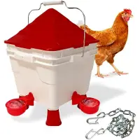 Markenlos Automatischer Tränkeeimer 8 Liter mit abnehmbaren Standbeinen für Hühner, Enten und Gänse - Wasserspender für Tiere - inklusive Metallkette - Selbstfüllende Geflügeltränke