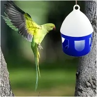 Markenlos Tauben-Tränke, 2L Vogelwassertränke | Abnehmbar für Geflügelhaltung, wintertauglich, Freilandhaltung, Wachtelhaltung, Kükenaufzucht, Hühnerstall