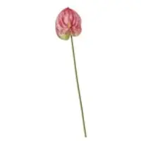 Möbel Kraft Kunstblume Anthurium ¦ rosa/pink ¦ Kunststoff ¦ Maße (cm): H: 67 Ø: 14.0