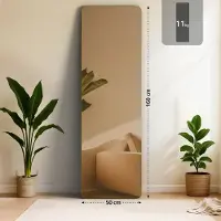 CLP Spiegel Gurnee gold glanz/160x50 cm