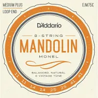 Daddario D'Addario EJM75C Mandoline Saiten