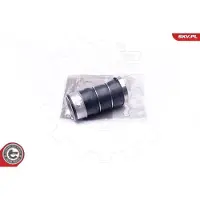 ESEN SKV 43SKV085 Turbo Ladeluftschlauch für BMW 3 Touring (E91) 3 Limousine (E90) 3 Coupe (E92) 3 Cabrio (E93)