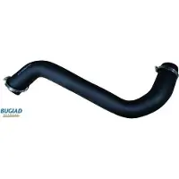 BUGIAD 82166 Turbo Ladeluftschlauch für LAND ROVER Freelander SUV (L314)