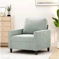 Markenlos Sessel in Hellgrau, 60 cm, Samt, Metallgestell, Bequeme Polsterung, Modernes Design, Wohnzimmer Relaxsessel, Langlebig