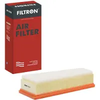 FILTRON Luftfilter AP 119/8