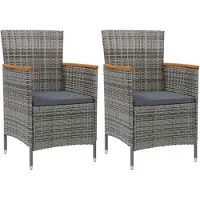 The Living Store Garten-Essstühle 2 Stk. Poly Rattan Grau