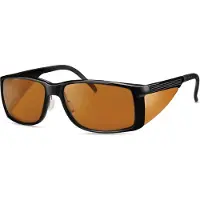 Eschenbach Filterbrille Ambelis 16635 85%