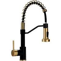 Markenlos Schwarzer Wasserhahn für die Küche, Küchenarmatur in Mattschwarz mit herausziehbarem Sprüher