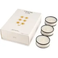 GINORI 1735 LDCD Tea Light Scented Candles White Jealousy 12p