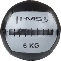 HMS Trainingsball WLB12