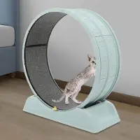 StarTech.com Katzen Laufrad - Lauf- & Trainingsrad - Durchmesser 80 cm - Größe L - Einlagig - Für Innenbereich - Harz & PP - Blau