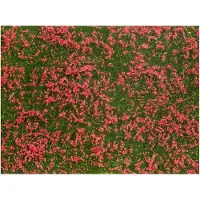 Noch Meadow, Gras, Junge/M?dchen, Gr?n, Rot