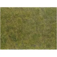 Noch 07254, Braun, Gr?n
