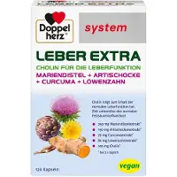 Queisser Pharma GmbH & Co. KG Doppelherz Leber Extra System Kapseln 120 St
