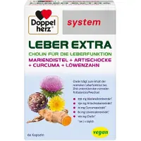 Queisser Pharma GmbH & Co. KG Doppelherz Leber Extra System Kapseln 60 St
