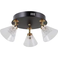 ITALUX Strahlerlampe LED 12W ORELLA WL-34393-3R-BK-HBR