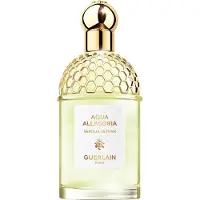Guerlain aqua allegoria eau de toilette nerolia vetiver 125 ml