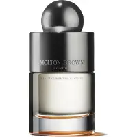 Molton Brown , Sunlit Clementine & Vetiver EdT Nat. Spray 100 ml Eau de Toilette