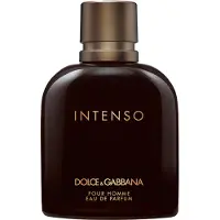 Dolce&Gabbana Dolce & Gabbana Pour Homme Intenso Eau De Parfum 125ml Vapo One Size