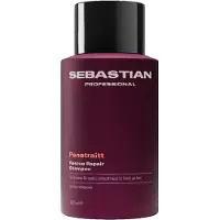 Sebastian Penetraitt Rescue Repair Shampoo 280ml