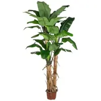 Creativ Green Künstliche Palme Bananenpflanze 280cm im Topf