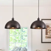 LumenXL Industrielle Pendelleuchte, 2-flammig - Toshi