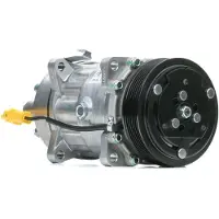 Delphi TSP0159337 Sanden SD7V16 Klimaanlage Klimakompressor PAG 46 passend für PEUGEOT 307 CC (3B) 307 (3A/C) 307 SW (3H) für CITROËN