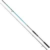 Daiwa Spitfire Seabass Spinnrute Silber 2.90 m / 14-56 g Silber 2.90 m