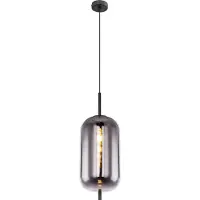 Globo Lighting Hängeleuchte Metall schwarz, matt, Glas, Höhe kürzbar, ø: 220mm, H: 1200mm, exkl. 1x E27 60W 230V