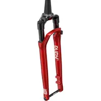RockShox Gabel Rudy XL Ultimate Race Day 2