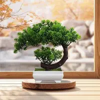 OEM Kunststof Bonsai - Realistisch - 1 Stück - Grün - Miniatur