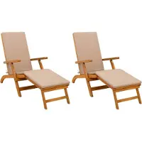 vidaXL Liegestuhl zum Verstellen und Klappen 2 pcs 55 x 146 x 91 cm