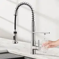 OEM dreidrahtige Spiralarm-Mischkran für die Küche, ausziehbare Duscharmatur, Küchenkran für Osmose-Anlage und Wasserfilter, gebürstet aus Edelstahl