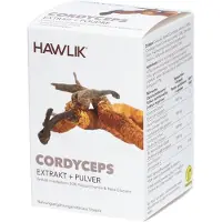 Hawlik Cordyceps EXTRAKT+Pulver Kapseln 120 St