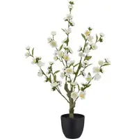 Momax Kirschblütenzweig Kirschblüte Weiß ca. 64cm