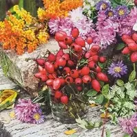 Home Fashion , Rosehip, Lunch-Servietten aufgefaltetes Maß 33 cm x 33 cm, im Viertelfalz, 20 Stück pro Pack, 12 Pack pro Karton