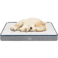 OEM Wasserfestes Hundebett S 60x45x7,5cm, waschbar, Unterstützendes Schuimkissen