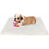 OEM Mittelgroßes Hundebett 76x54cm, Flauschige Hundematte, Waschbar, Antirutsch, Beige