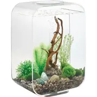 Oase Tabletop Aquarien »biOrb LIFE «, mit LED Beleuchtung, 15 l, transparent
