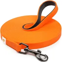 Rudelkönig Schleppleine Hund 10 m Orange PVC Beschichtet Freilaufleine