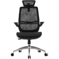 Sihoo M59S Ergonomischer Bürostuhl mit 3D-synchron klappbaren Armlehnen, Doppelrückenkonstruktion und adaptiver Lendenstütze, Netz-Bürostuhl für Heim und Büro (Schwarz)