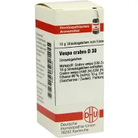 DHU Vespa Crabro D 30 Globuli 10 g